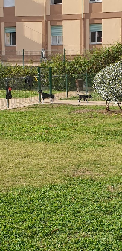 Area cani di Via Carducci (sopra multipiano)