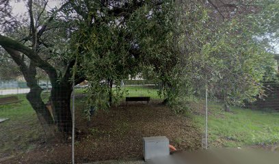 Area cani di Via Donne Partigiane