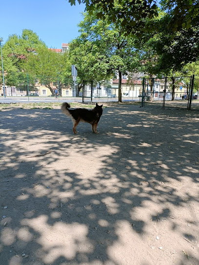 Area cani di Via Petrella