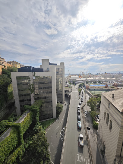 Area cani recintata Giardini Baltimora