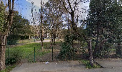 Area cani recintata con acqua