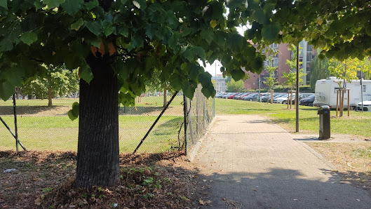 Area cani venchi unica