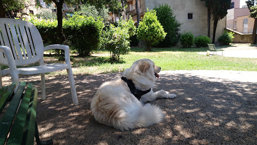 Area cani via Pisacane