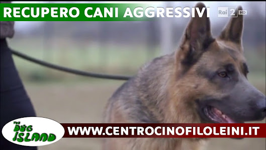 Area cani via Refrancore