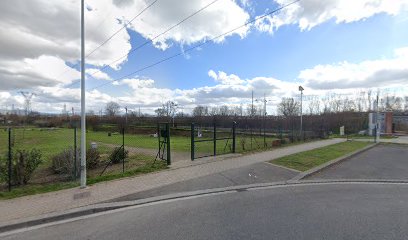 Area cani via del pesciolino