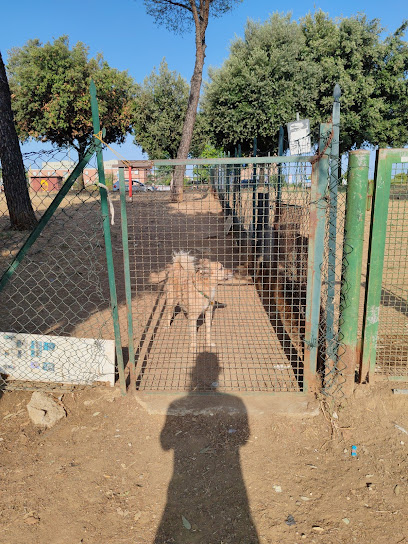 Area cani vigne nuove