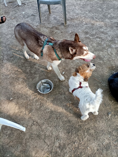 Area corsa libera per cani Lenin, via Lenin (BO)