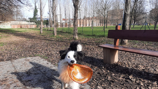 Area di Sgambamento Per Cani