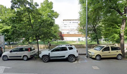 Area di corsa libera per cani via Bentivogli (BO)