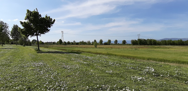 Area di laminazione di San Donnino