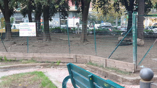 Area di libera socializzazione per cani