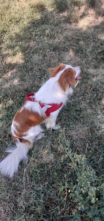 Area di sgambamento cani Ravenna - Giardino Ravera Camilla