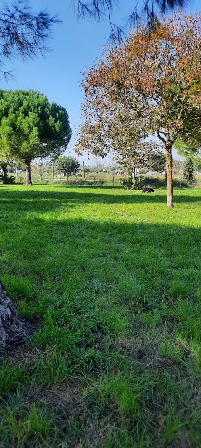 Area di sgambamento cani Ravenna