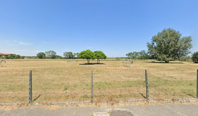 Area di sgambamento cani Ravenna