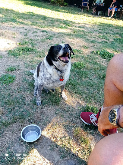 Area di sgambamento cani Ravenna