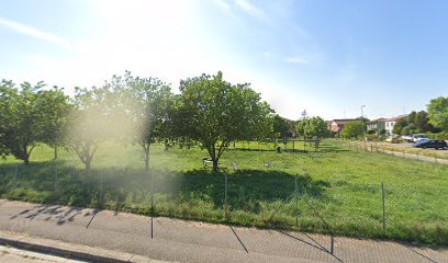 Area di sgambamento cani Ravenna