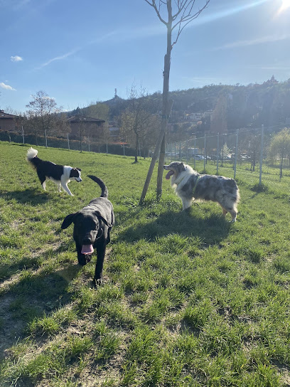 Area di sgambamento per cani