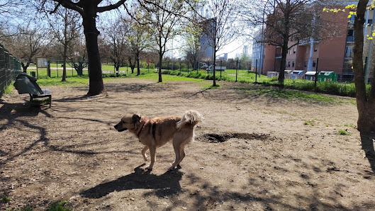 Area di sgambatura per cani