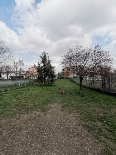 Area di sgambatura per i cani