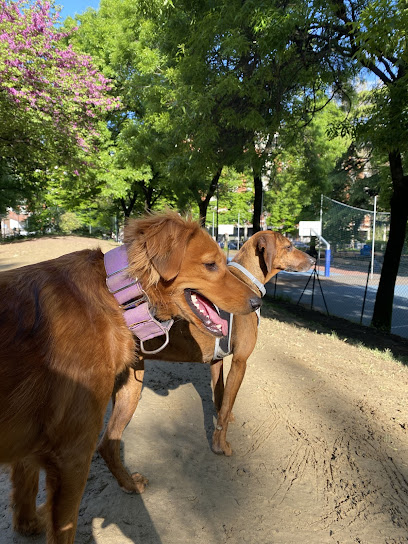 Area di sgambettamento per cani