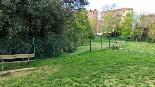 Area gioco cani