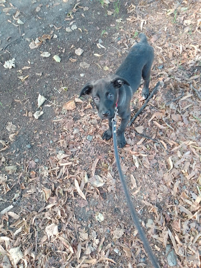 Area gioco corso Taranto