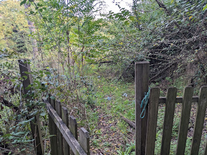 Area ludica per cani