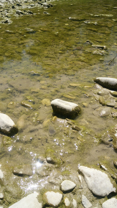 Area parco per Cani (di Via Remo Polizzi)