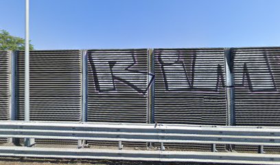 Area parco recintata per cani 2