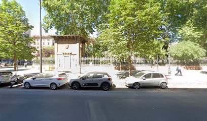 Area per cani adottati