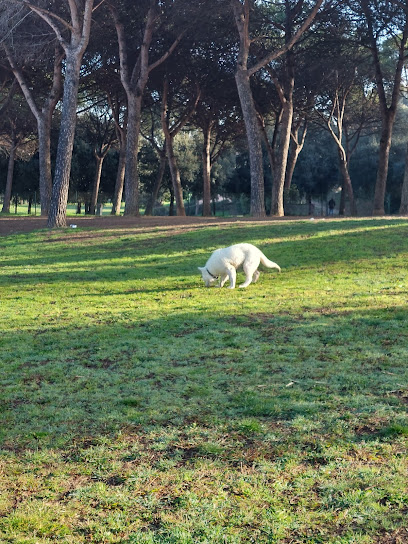 Area per cani di Villa Carpegna