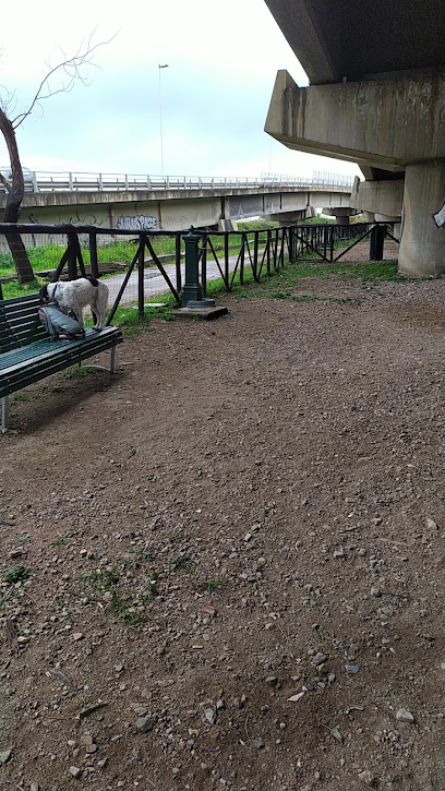 Area per cani sotto il ponte