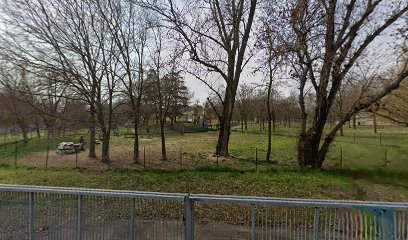 Area per la corsa libera dei cani