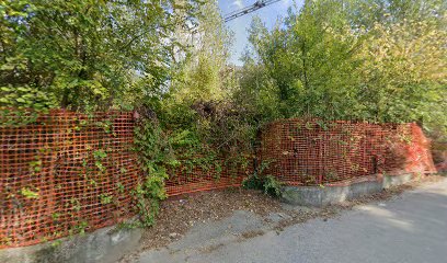 Area pubblica per i cani