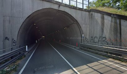 Area sgambamento cani - Parco Montecucco