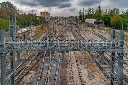 Area sgambamento cani - Rocca Brancaleone