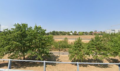 Area sgambamento cani Centro Leonardo