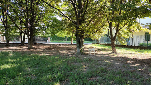 Area sgambamento cani Giardino dei Carpini