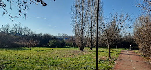 Area sgambamento cani Via Filippo Turati