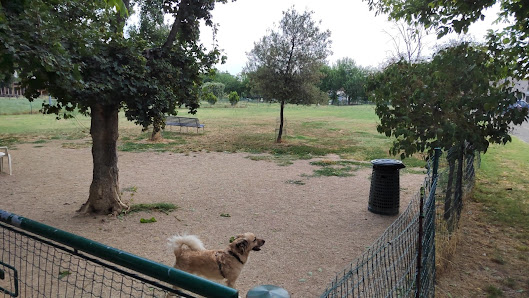 Area sgambamento cani Zolino