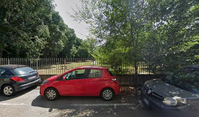 Area sgambamento cani comunale