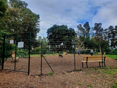 Area sgambamento cani con agility