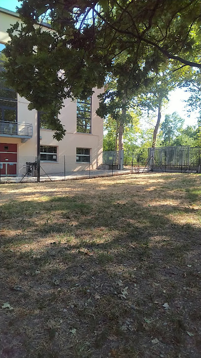 Area sgambamento cani con fontanella