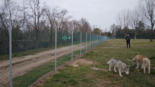 Area sgambamento cani del Comune di Udine