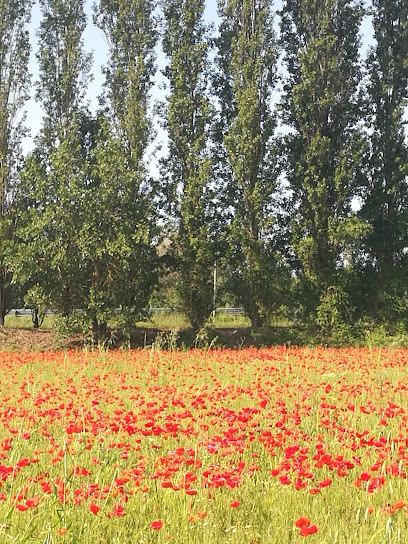 Area sgambamento cani di VIa Leopardi