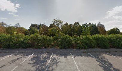 Area sgambamento cani parco dragoni