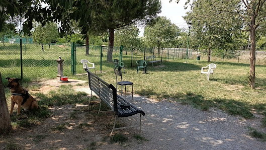 Area sgambamento cani santo stefano
