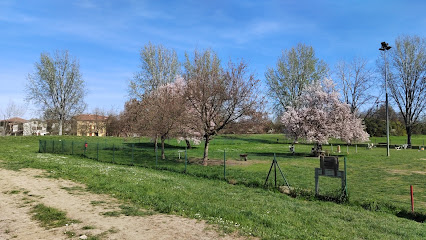 Area sgambamento cani