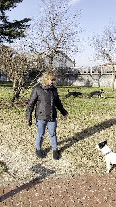 Area sgambamento cani