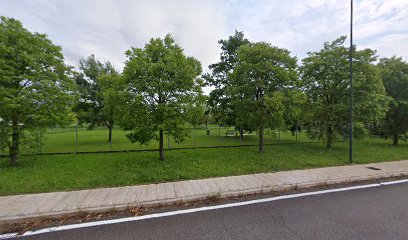 Area sgambamento cani